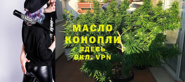 дмт Богданович